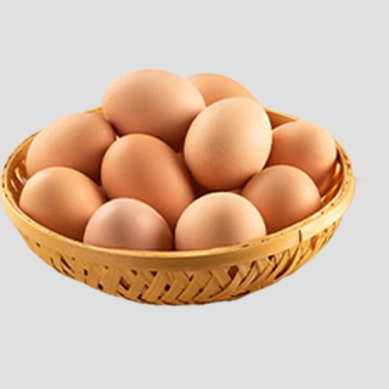 Egg